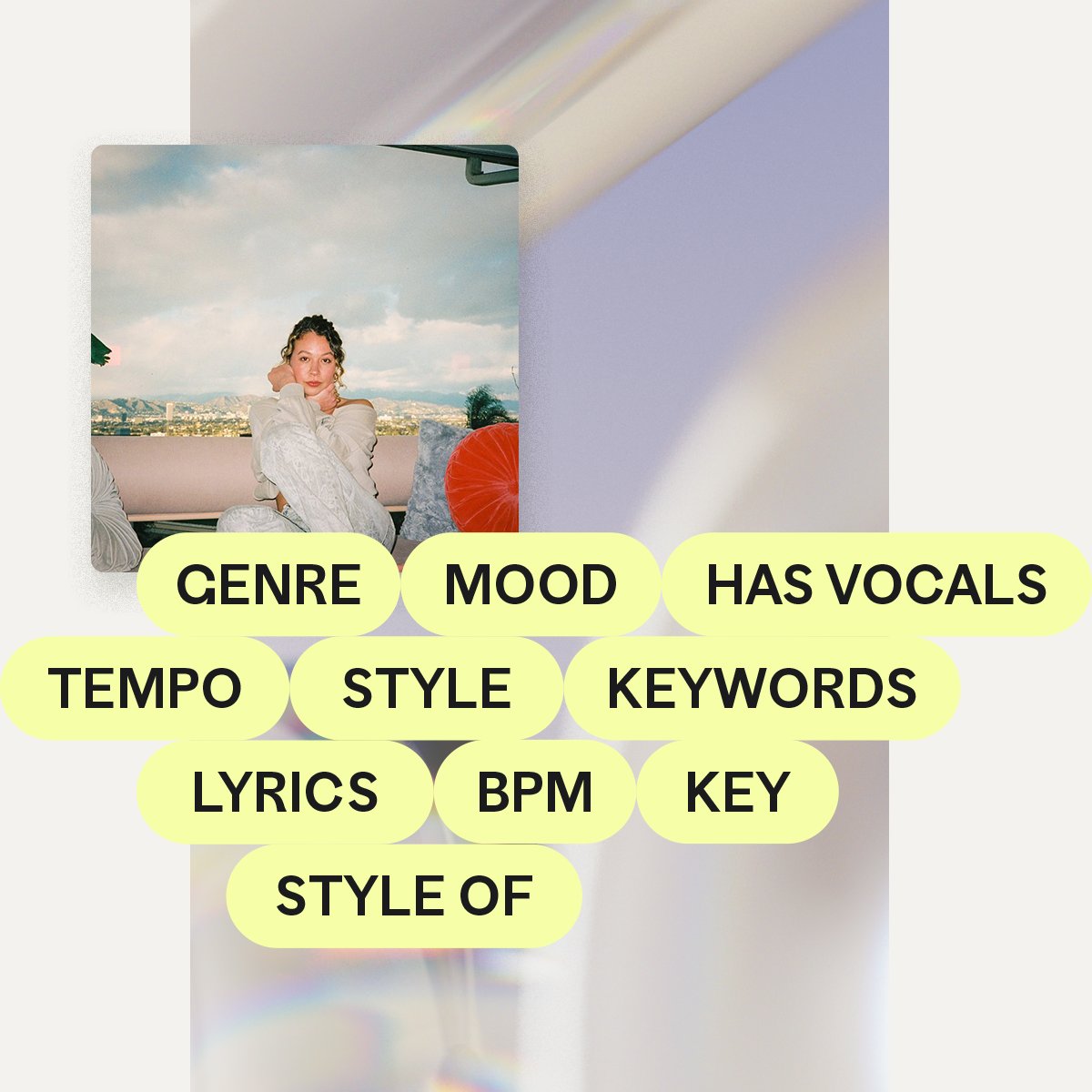 The standard tag fields: genre, mood, has vocals, tempo, style, keywords, lyrics, BPM, key and style of